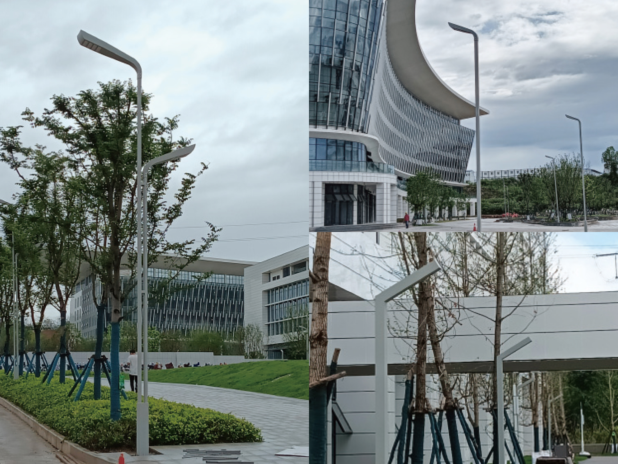 三峡大学科技学院绿化景观工程.jpg