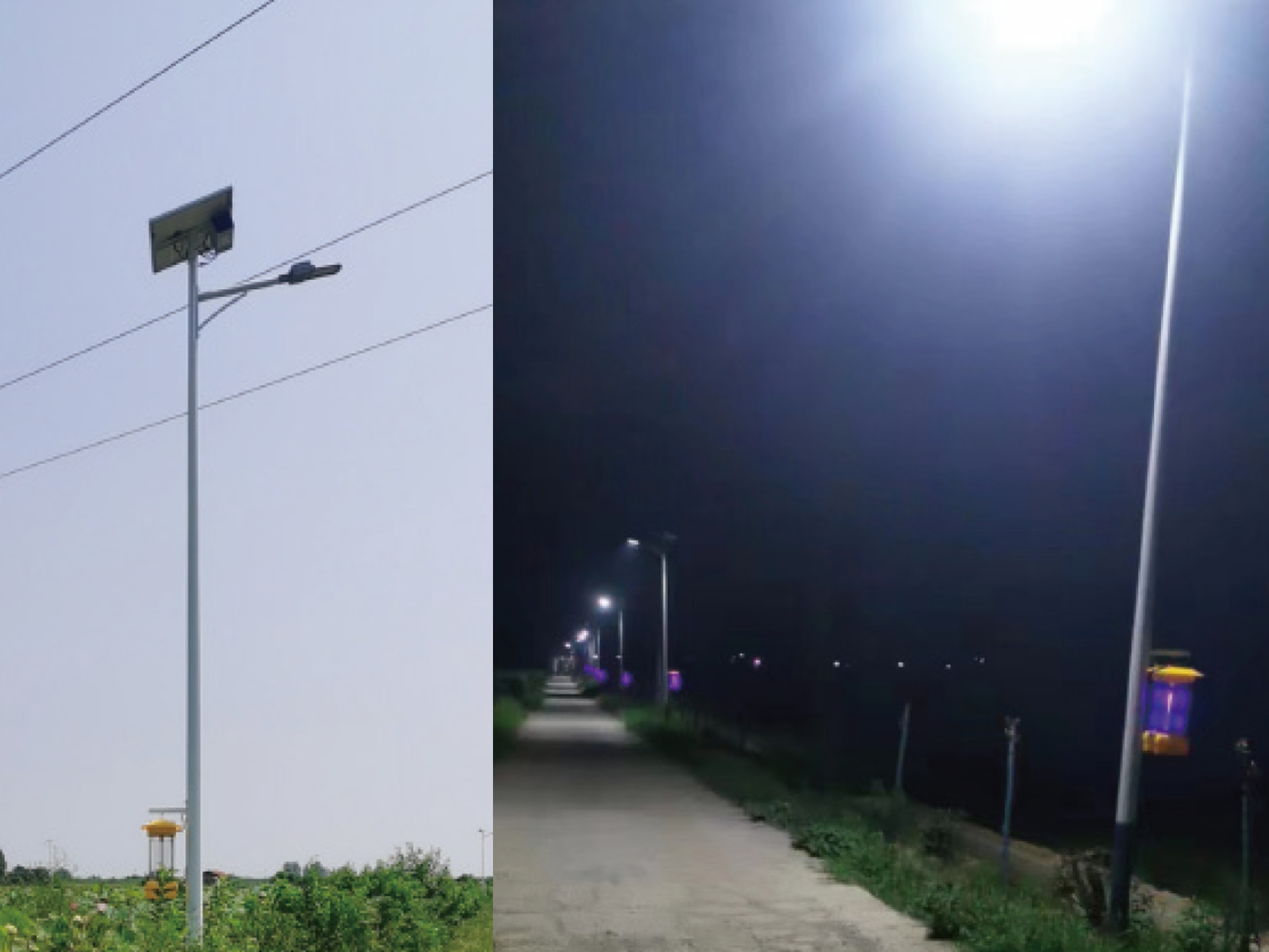 临湘太阳能杀虫项目.jpg